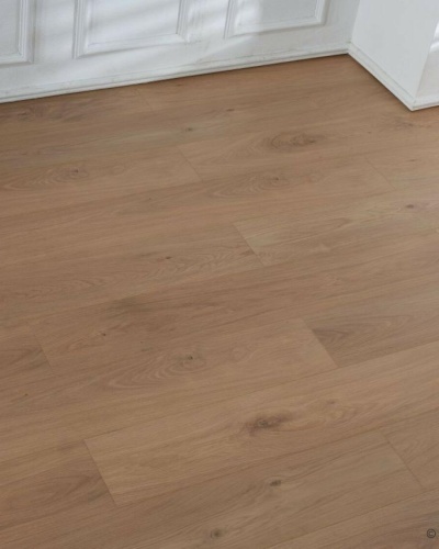 Lamiwood SELECT 12 1218 Дуб Медовый